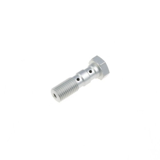 SV 1000 (2003 - 2006) double banjo bolt | TRW