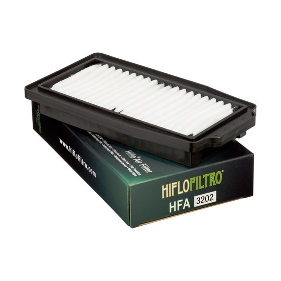 GW 250 (2012 - 2018) oro filtras | Hiflofiltro