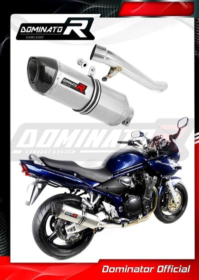 GSF 1200 BANDIT (2001 - 2005) exhaust silencer hp1 | Dominator