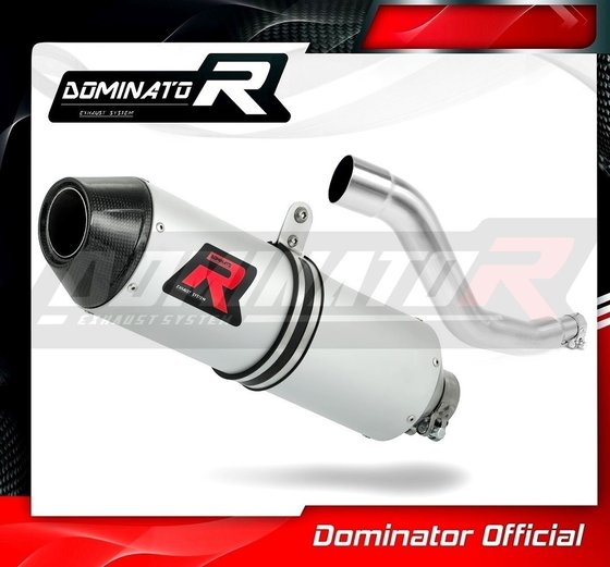 DR 125 (1970 - 2022) exhaust silencer mx2 | Dominator