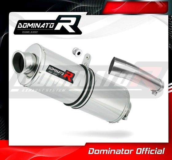 SV 650 (1999 - 2002) exhaust silencer oval | Dominator