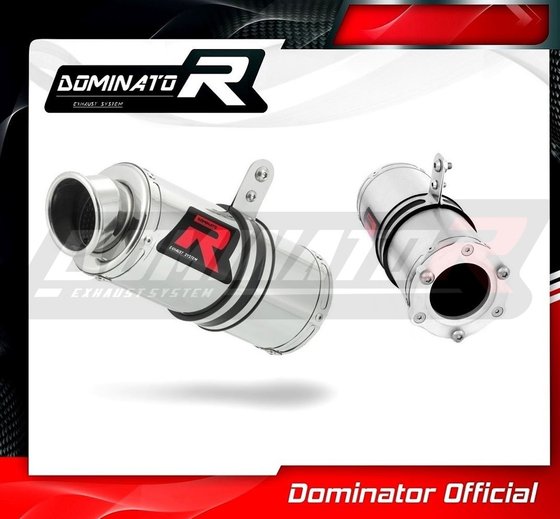 RF 900 R (1994 - 1998) exhaust silencer gp1 | Dominator