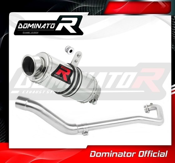 GSX-S 125 (2017 - 2019) exhaust full system silencer gp1 | Dominator