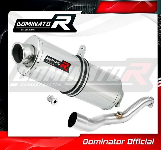 AN 400 BURGMAN (2007 - 2016) exhaust silencer oval | Dominator