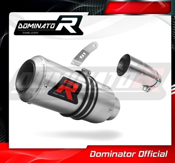 GSX-R 1000 (2017 - 2019) exhaust silencer gp | Dominator