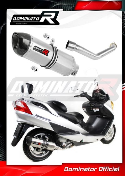 AN 400 BURGMAN (2003 - 2006) exhaust silencer hp1 | Dominator