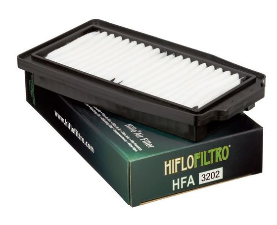 GW 250 (2012 - 2018) oro filtras | Hiflofiltro