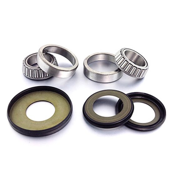 RM 250 (2005 - 2008) rėmo galvutės guoliai su sandarikliais | BEARING WORX