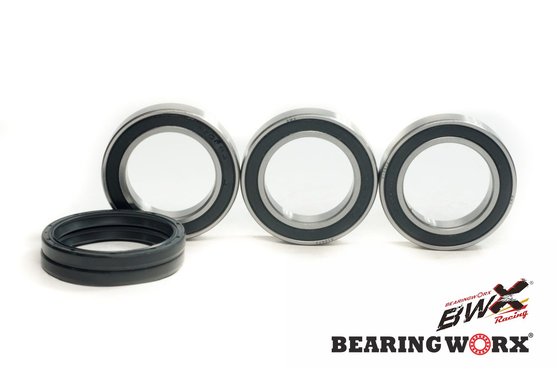 LT-Z 400 (2009 - 2013) galinių ratų guoliai su riebokšliais | BEARING WORX