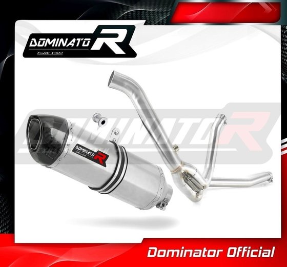 DL 650 V-STROM (2012 - 2016) exhaust silencer muffler hp1 | Dominator