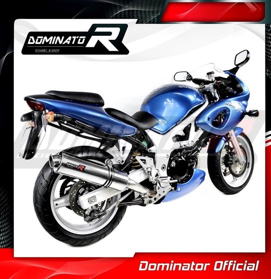 SV 650 (1999 - 2002) exhaust silencer round | Dominator