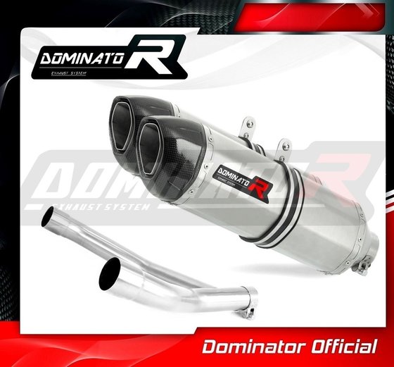 DR 800 S (1970 - 2022) exhaust silencer dual hp1 | Dominator