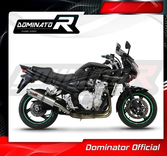 GSF 650 BANDIT (2007 - 2016) eu approved exhaust silencer st | Dominator