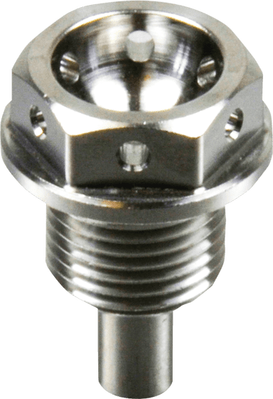 DL 1000 V-STROM (2002 - 2009) 14x1.25x12 drain plug | PRO BOLT