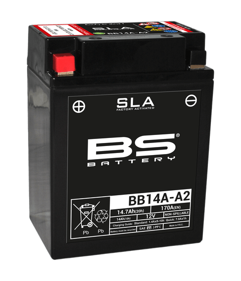 LT F 250 (1987 - 2014) sla 12v 160 a battery | BS BATTERY