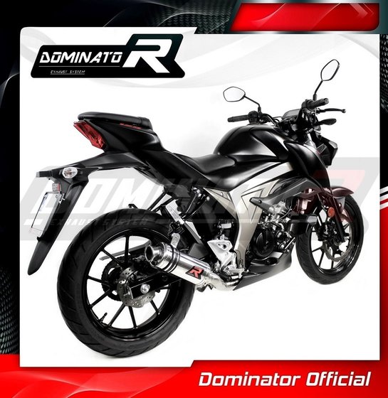 GSX-R 125 (2017 - 2019) exhaust full system silencer gp1 | Dominator