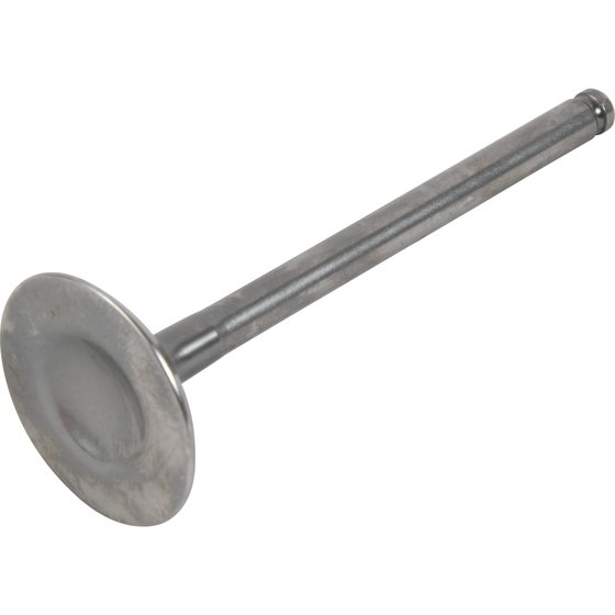 LT R 450 QUADRACER (2006 - 2009) exhaust valve titanium | Hot Cams