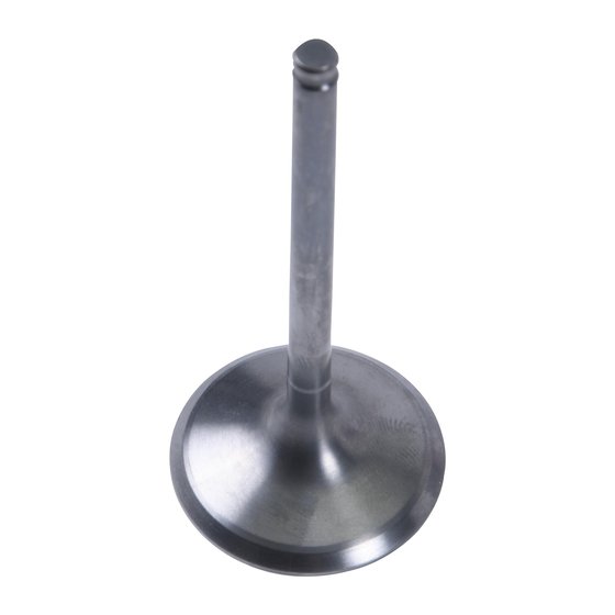 LT R 450 QUADRACER (2006 - 2009) intake valve titanium | Hot Cams