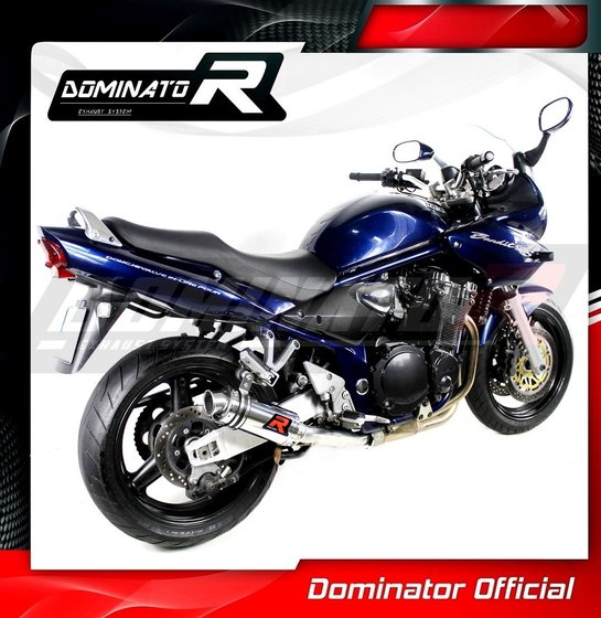 GSF 1200 BANDIT (2001 - 2005) exhaust silencer gp1 | Dominator