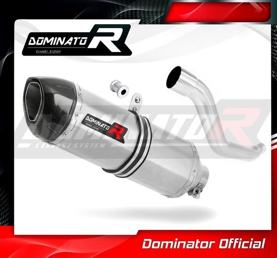 XF 650 FREEWIND (1997 - 2003) exhaust silencer hp1 | Dominator