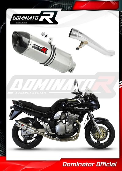 GSF 600 S BANDIT (1995 - 1999) exhaust silencer hp1 | Dominator