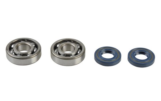 RM 60 (2003 - 2003) crankshaft rebuilding kit | ATHENA